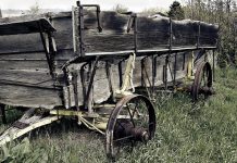 Почина детето, което падна от каруца в Луковит