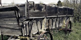 Почина детето, което падна от каруца в Луковит