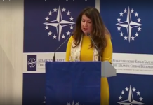 Доклад от Държавния департамент на САЩ: Посланик Мустафа не е контролирала раздаването на грантове. Но успя да убеди служебното правителство да купи още самолети F-16