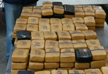 Заловиха хероин за 3,6 млн. лева на Дунав мост