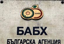 Над 100 сватбари в Сливенско натровени, 66 са в болници в страната