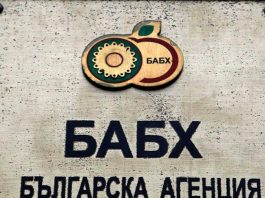 Агенцията по храните откри арсен в бебешка каша от български производител