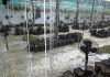 Разкриха мащабна лаборатория за марихуана за повече от 1 млн. лв. в русенско село