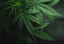 Откриха пратка с дрога в офиса на известна куриерска фирма в Айтос