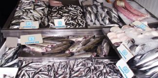 Пълна забрана за риболов в Черно море, Дунав и водните обекти в страната