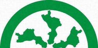 Българска следа в мегаоперация срещу калабрийската мафия, арестувани са 334-ма