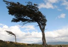 Предупреждение за ураганен вятър в Царево