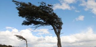 МВР съветва: Не оставайте на открито при силен вятър