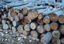 Криза с дървата за огрев в Северозападна България, хората чакат с месеци