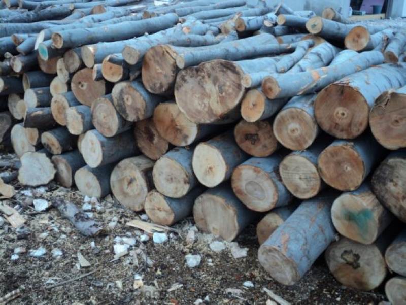 Допуснат е сериозен дефицит на дървен материал в България което