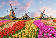 Холандия официално смени името си на Нидерландия