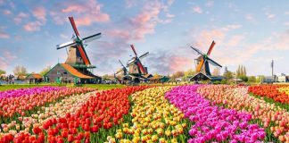 Холандия официално смени името си на Нидерландия