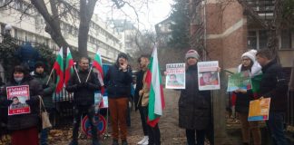 Протест пред германското посолство: Не пипайте децата, върнете Катерина!