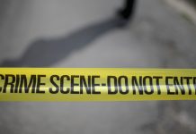 Българин е сред арестуваните за убийството на полски професор в Гърция