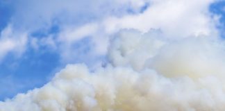 Перник обгазен със серен диоксид