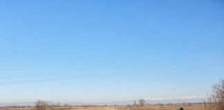 ТИР се преобърна в канавка в Пловдивско, шофьорът загина