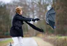 Жълт код за силен вятър в 14 области на страната днес