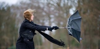 Силния вятър в София причини щети