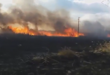 Десетки декари защитена територия са изгорели при пожара край Дуранкулашкото езеро