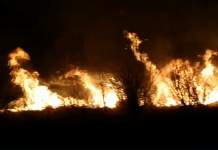 Потушен е пожарът в Драгоманското блато