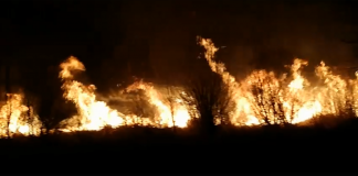 Потушен е пожарът в Драгоманското блато