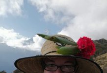 33-годишна жена е в неизвестност от 31 декември