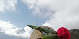 33-годишна жена е в неизвестност от 31 декември