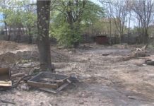 ОЛАФ разследва нагла измама в Петрич