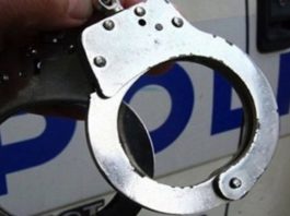 И в Свищовско задържани мъж и жена, измъчвали животни и продавали видеата