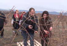 Херо Мустафа заряза лозята