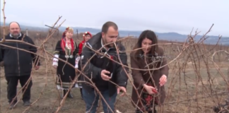 Херо Мустафа заряза лозята