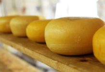 Агенцията по храните насочи за унищожаване кашкавал, произведен от затворено предприятие