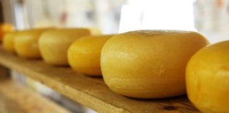 Липсват 38 тона кашкавал от държавния резерв в мандра в Елена