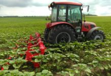 Правителството улеснява наемането на работници в земеделието с по-опростени трудови договори