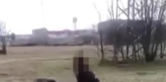 Ученичка пребива с юмруци и ритници момиче, защото харесало снимка на момче в инстаграм