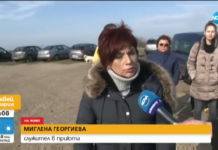 Ветеринар преби до смърт куче в приюта в Несебър