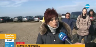 Ветеринар преби до смърт куче в приюта в Несебър