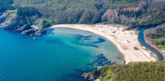 Правителството търси концесионер за плажовете Силистар и Бутамята