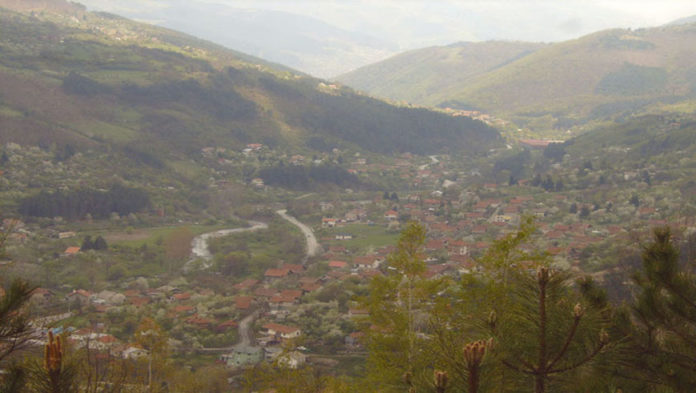 SAMSUNG DIGIMAX D530