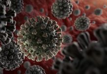 Нито един починал с коронавирус, 149 новозаразени за последното денонощие