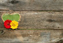 8-годишната Цвета дари пари на болница „Шейново“