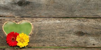 8-годишната Цвета дари пари на болница „Шейново“