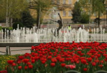 От днес пада забраната за разходки в парковете