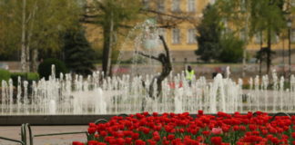От днес пада забраната за разходки в парковете