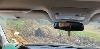 Борисов: Който лъже, не яде!