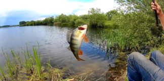 Прокуратурата пита взети ли са мерки за ограничаване на лова и риболова