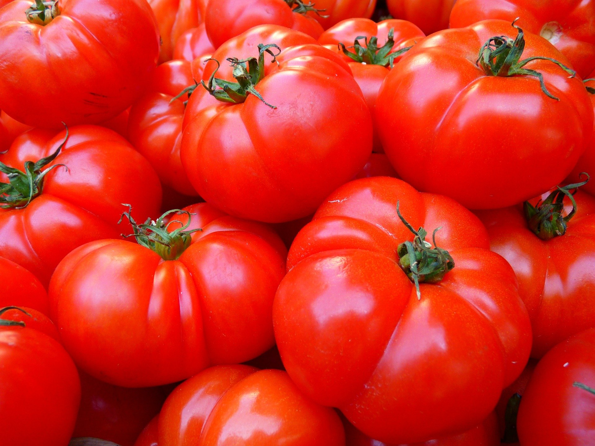 Едва 2 от предлаганите на пазара домати и краставици са