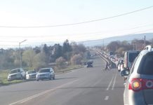 България няма да има нормални пътища, докато не бъде ограничен рекетът на екологичния радикализъм