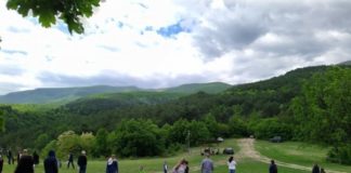 Протест срещу продажба на гора прекъсна военните демонстрации в Црънча