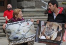 Десетки излязоха на протест в защита на животните